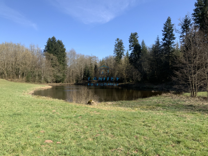 Offres de vente Terrain Ternuay melay st hilaire (70270)