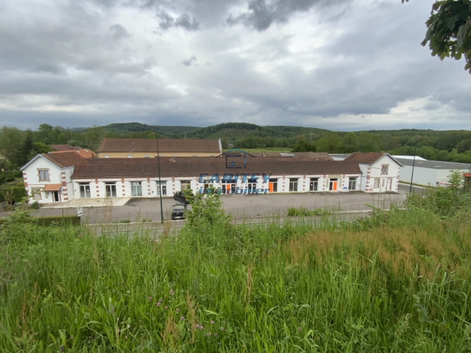 Offres de vente Immeuble Ronchamp (70250)